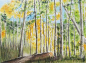 Aspens-Turning-173x126