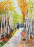 Fall Colors 4-119x162